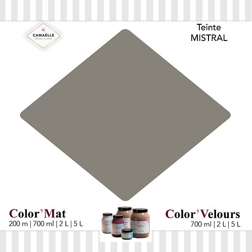 COLOR'VELOURS MISTRAL